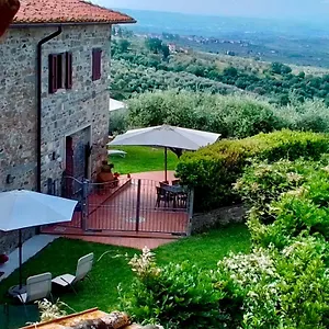 Casa Della Noce , Vinci Italia